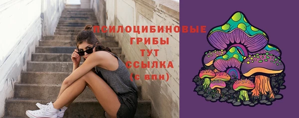 а пвп мука Армянск