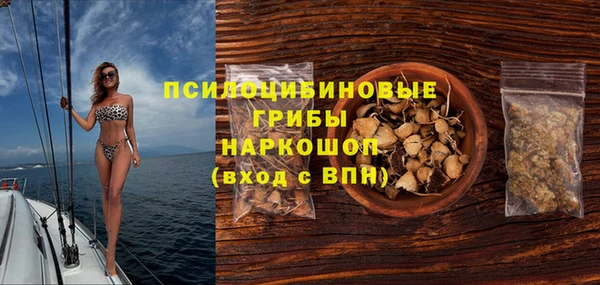 сатива Аркадак
