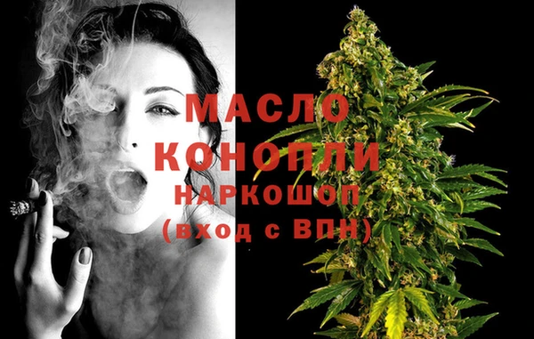 сатива Аркадак