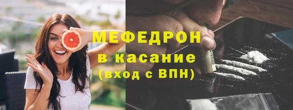сатива Аркадак