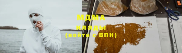 сатива Аркадак