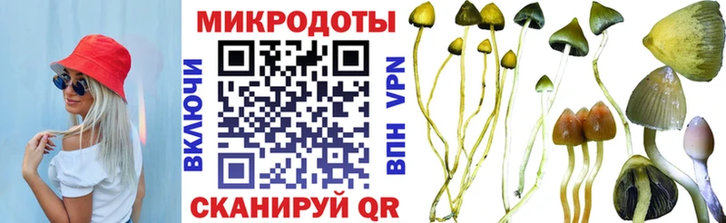 Псилоцибиновые грибы ЛСД Харовск